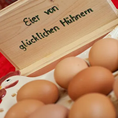 Bruggerhof Pensión 3*